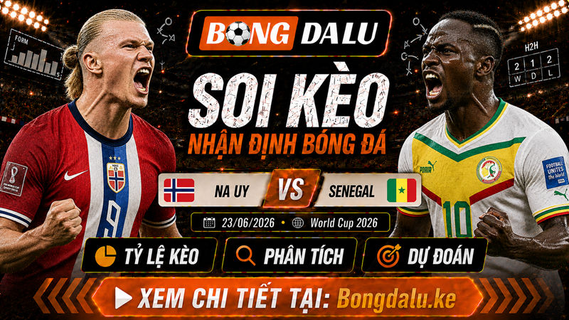 Lực lượng xuất quân của Na Uy vs Senegal Lực lượng xuất quân của Na Uy vs Senegal